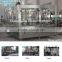 2000-30000bph Automatic Juice Bottling Machine/Plant