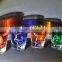 Personalized Pokemon Etched Shot Glass