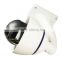 360 degree vandalproof panoramic security IP camera, 1/3" Sony Super HAD II CCD, 700TVL