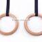 Wholesale Fantastic Small High Quality Fitness Gym Rings PT227