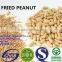 chinese peanut kernels/chinese blanched peanut/blanched peanut 25/29
