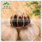 Health benefit of black garlic extract powder