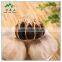 Fresh black garlic extract powder wholesale