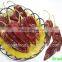 Dehydrated Hot American Red Chilli