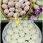 Industrial Automatic Boiled Egg Peeler Peeling Processing Machine