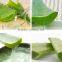 Aloe Polysaccharide manufacture with ISO, GMP, HACCP, KOSHER, HALAL certificated
