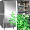 vegetable quick freezing freezers/sweet corn quick freezer/quick freezing machine