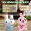 Customized Rabbit with Carrot Plush Stuffed Animal Toy