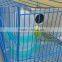 pigeon water feeder; pigeon drinker, pigeon drinkers and feeders