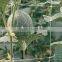 crop hanging Climbing plant support trellis netting