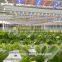 20W Led Grow Light Tube Vertical Farming Hydroponic/aquaponics Tomato Led Light