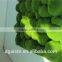 indoor decoration flocking moss rock shape wall moss panel backdrop