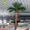 GNW APM027 12ft tall palm tree in aquatic plants made in china for wholesale