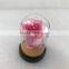 Clear Acrylic display dome with base for display decorations