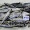 Cheap Price Frozen Atlantic Mackerel