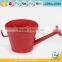 6 Inch Planters for Garden Plants Wide Shallow Plant Pots