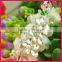 Girl acryilc bridal wedding hair accessories made in China WHD-014