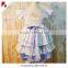 Summer girl ruffle dress bowknot boutique girl clothes