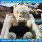 Wonderful Animal Shape Toy Used Toys For Children