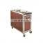 Professional restaurant electric mobile food warmer cart