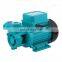 1/2hp electric motor pump Clean Water Vortex sprinkler water pump