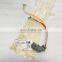 Cummins ISL ISLE ENG CNT MDL WRG Harness Wiring Harness 3966069 3968886