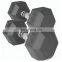 Weight Lifting Gym Accessory HEX and convenient  Dumbbell Home  use with Fashionable Design