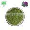 100% natural kale extract