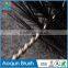 Custom-made Container Cleaning Brush ,Glassware/Wineware Nylon Brush