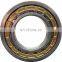 Full Complement Cylindrical Roller Bearing SL04 5007PP Bearing