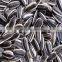 Wholesale Organic Non GMO Sunflower Kernel Seeds
