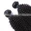 Kinky twists Peruvian virgin hair, Afro kinky curly human hair weave                        
                                                                                Supplier's Choice