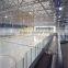 anyang the rinks ice skating