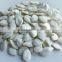 Chinese White Raw Pumpkin Seeds Price