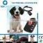 gps dog tracker collar,dog collar gps tracker