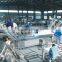 4 tons Pineapple production line
