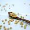 Non-GMO Soybean (For human consumption)