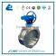 Double-flanged Triple Offset Hard-sealing Butterfly Valve