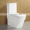 One Piece Hygienic WC Toilet