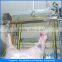 bridge type carcass half hog cutting saw