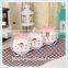 Ceramic Condiment Set Popular Condiment Dispenser Design