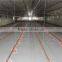 automatic poultry control farm for broiler chicken