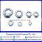Din 582 China hight quality stainless steel 304 316 lifting eye nut