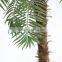 cheap indoor decorative artificial palm trees plastic trunk