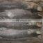 Single Piece Frozen Fish Grey Mullet With Most Competitive Price 500g up