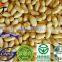 chopped blanched peanuts/shandong roasted java blanched peanut/chinese new crop blanched peanut