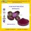 GMP Factory Supply High Quality And Natural Purple Sweet Potato Color