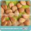 2016 best quality bulk sweet apricot kernel, apricot kernels, nut seeds kernels with good price