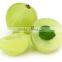 High quality Amla Extract