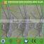 US Style Heavy Duty Plastic Anti Bird Spikes Pigeon Spikes